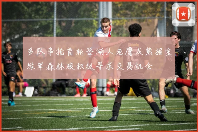 多队争抢首轮签湖人老鹰灰熊掘金绿军森林狼积极寻求交易机会